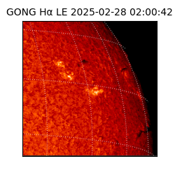 gong - 2025-02-28T02:00:42