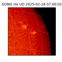 gong - 2025-02-28T07:00:02