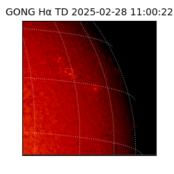 gong - 2025-02-28T11:00:22