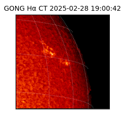 gong - 2025-02-28T19:00:42