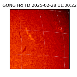 gong - 2025-02-28T11:00:22
