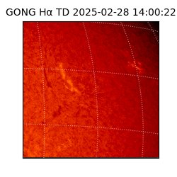 gong - 2025-02-28T14:00:22