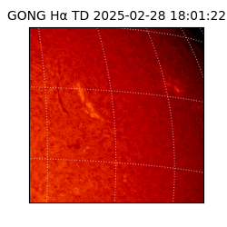 gong - 2025-02-28T18:01:22