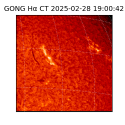 gong - 2025-02-28T19:00:42