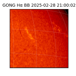 gong - 2025-02-28T21:00:02