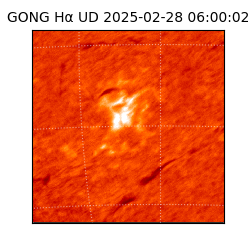 gong - 2025-02-28T06:00:02