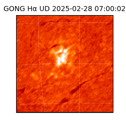 gong - 2025-02-28T07:00:02