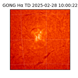 gong - 2025-02-28T10:00:22