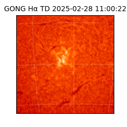 gong - 2025-02-28T11:00:22