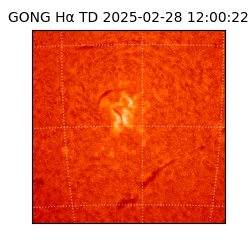 gong - 2025-02-28T12:00:22