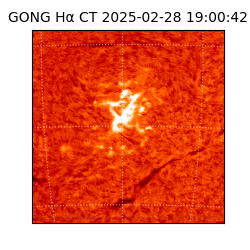gong - 2025-02-28T19:00:42
