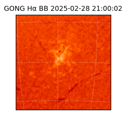 gong - 2025-02-28T21:00:02