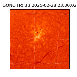 gong - 2025-02-28T23:00:02