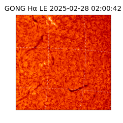 gong - 2025-02-28T02:00:42