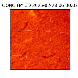 gong - 2025-02-28T06:00:02
