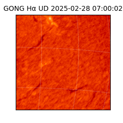 gong - 2025-02-28T07:00:02