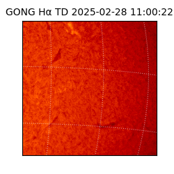 gong - 2025-02-28T11:00:22