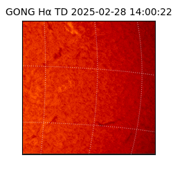 gong - 2025-02-28T14:00:22