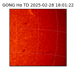 gong - 2025-02-28T18:01:22