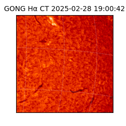 gong - 2025-02-28T19:00:42