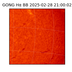 gong - 2025-02-28T21:00:02