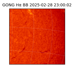 gong - 2025-02-28T23:00:02