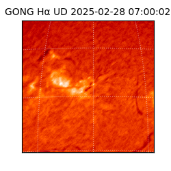 gong - 2025-02-28T07:00:02