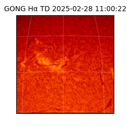 gong - 2025-02-28T11:00:22