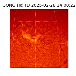 gong - 2025-02-28T14:00:22