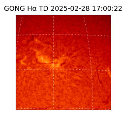 gong - 2025-02-28T17:00:22