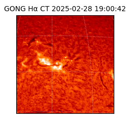 gong - 2025-02-28T19:00:42