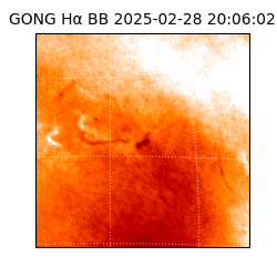 gong - 2025-02-28T20:06:02