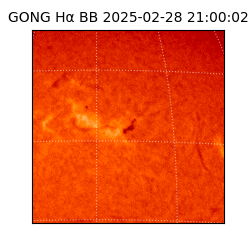 gong - 2025-02-28T21:00:02