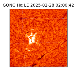 gong - 2025-02-28T02:00:42