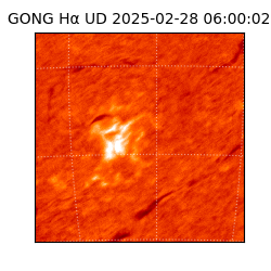 gong - 2025-02-28T06:00:02