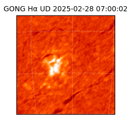 gong - 2025-02-28T07:00:02