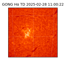 gong - 2025-02-28T11:00:22