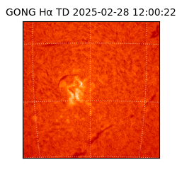 gong - 2025-02-28T12:00:22