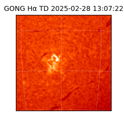 gong - 2025-02-28T13:07:22