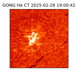 gong - 2025-02-28T19:00:42