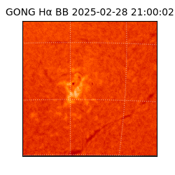 gong - 2025-02-28T21:00:02