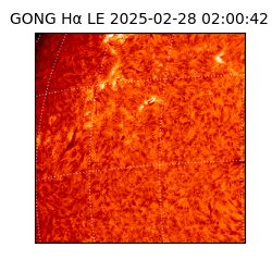 gong - 2025-02-28T02:00:42