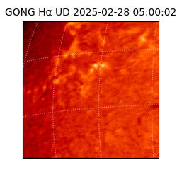 gong - 2025-02-28T05:00:02