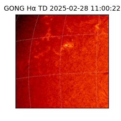 gong - 2025-02-28T11:00:22