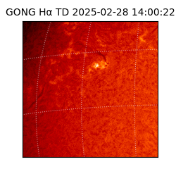 gong - 2025-02-28T14:00:22