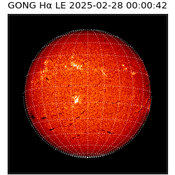 gong - 2025-02-28T00:00:42