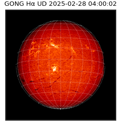 gong - 2025-02-28T04:00:02