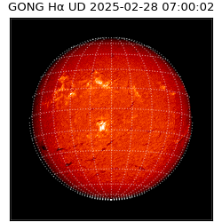 gong - 2025-02-28T07:00:02