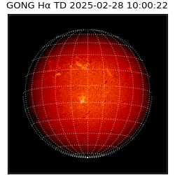 gong - 2025-02-28T10:00:22