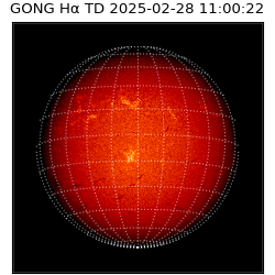 gong - 2025-02-28T11:00:22